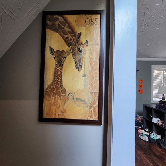 Animal Print Pictures